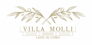 Villa Molli Logo Beige